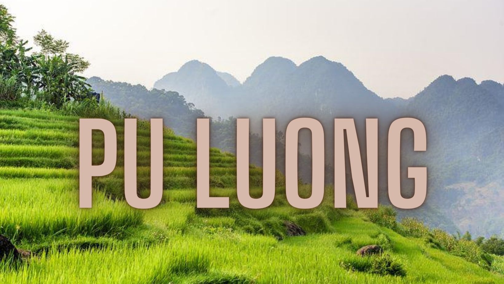 Réserve naturelle de Pu Luong