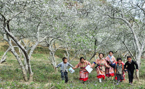 choses à faire à Bac Ha