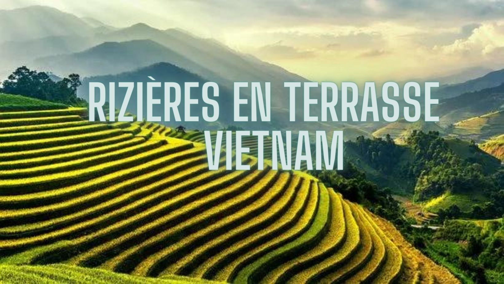 Ou se trouvent les plus belles rizières en terrasse du Vietnam