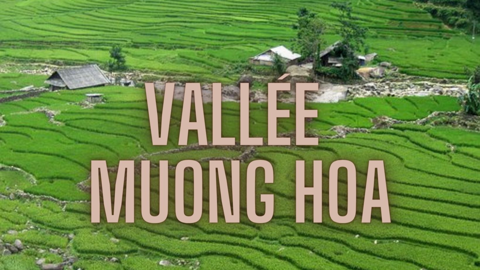 Guide de voyage : Ta Van et Lao Chai dans la vallée de Muong Hoa, Sapa