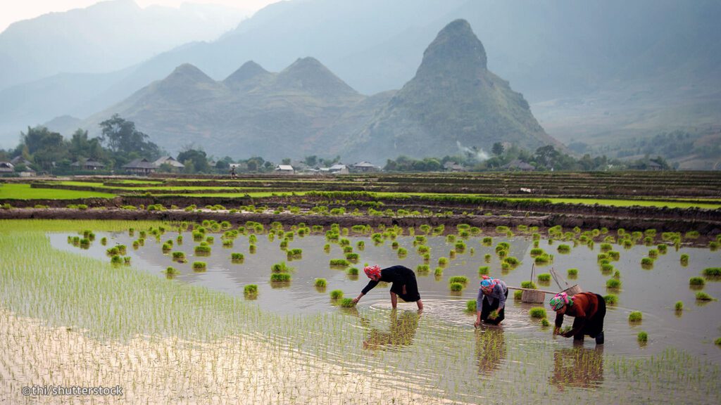 Sin Ho Lai Chau - Guide de voyage ultime 2022 Meilleures choses à faire / Attractions principales