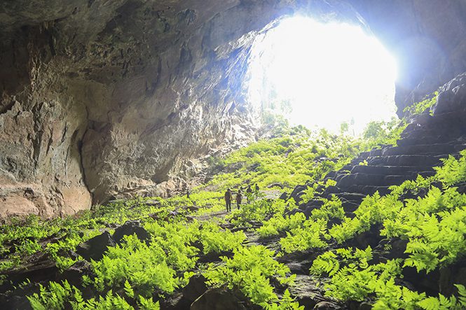 Les 10 plus belles grottes de Phong Nha qui vous couperont le souffle