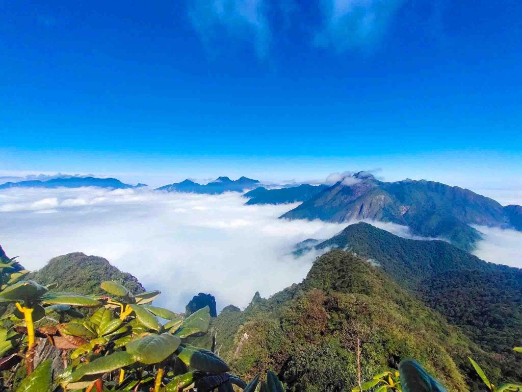 Ta Lien Son, la 6ème plus haute montagne du Vietnam ( 2 996 m ) : guide de voyage