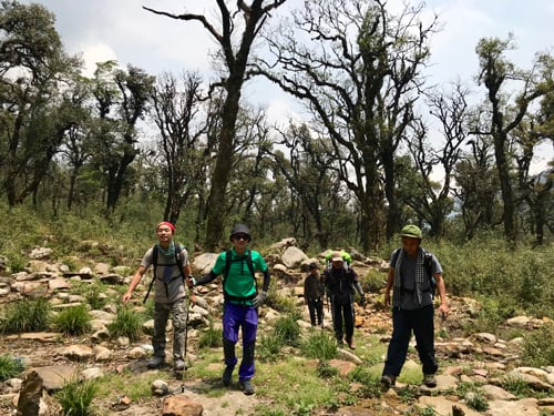 Pu Ta Leng, 3076 m, Le troisième plus haut sommet du Vietnam