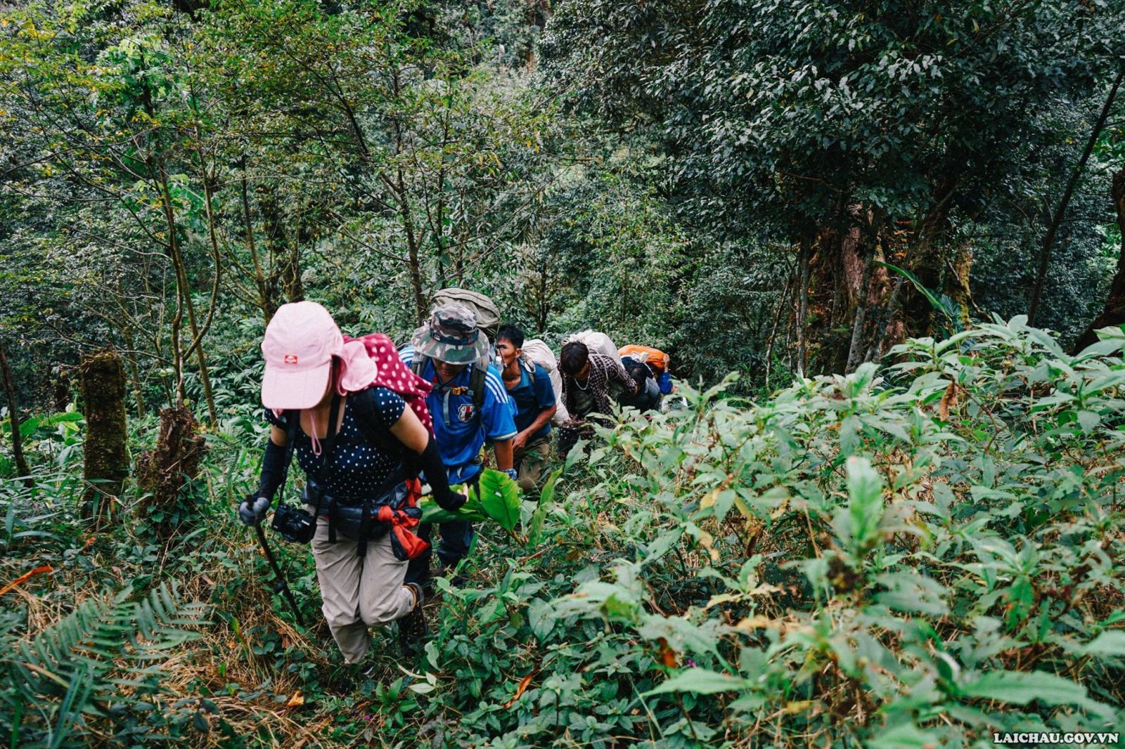 Pu Ta Leng, 3076 m, Le troisième plus haut sommet du Vietnam