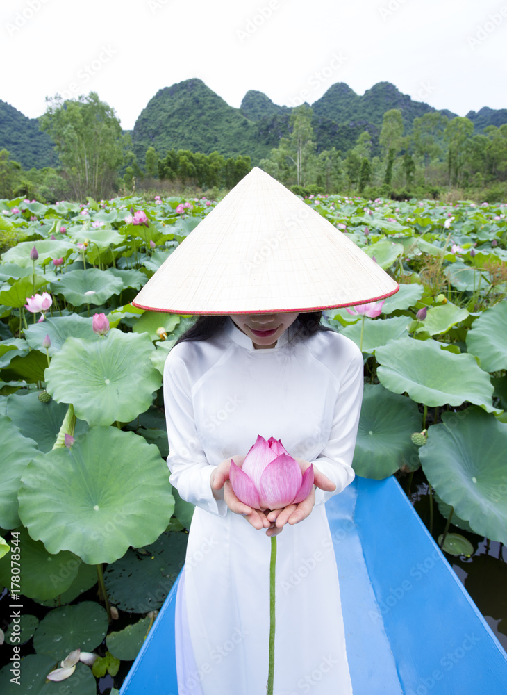 lotus, la fleur nationale du Viêt Nam