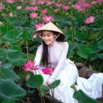 lotus, la fleur nationale du Viêt Nam