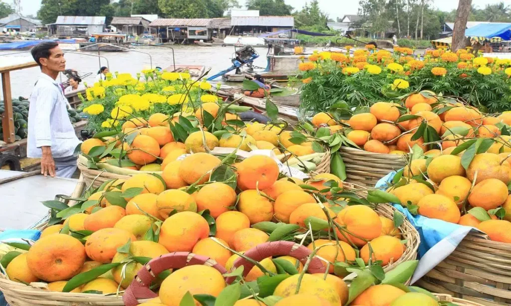 marchés flottants bien connus sur le delta du Mekong Vietnam Un guide du marché flottant de Tra On - Choses à faire à Vinh Long