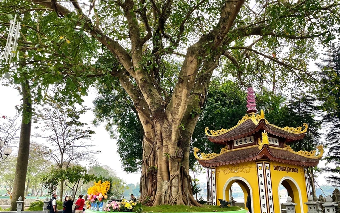 pagode Tran Quoc