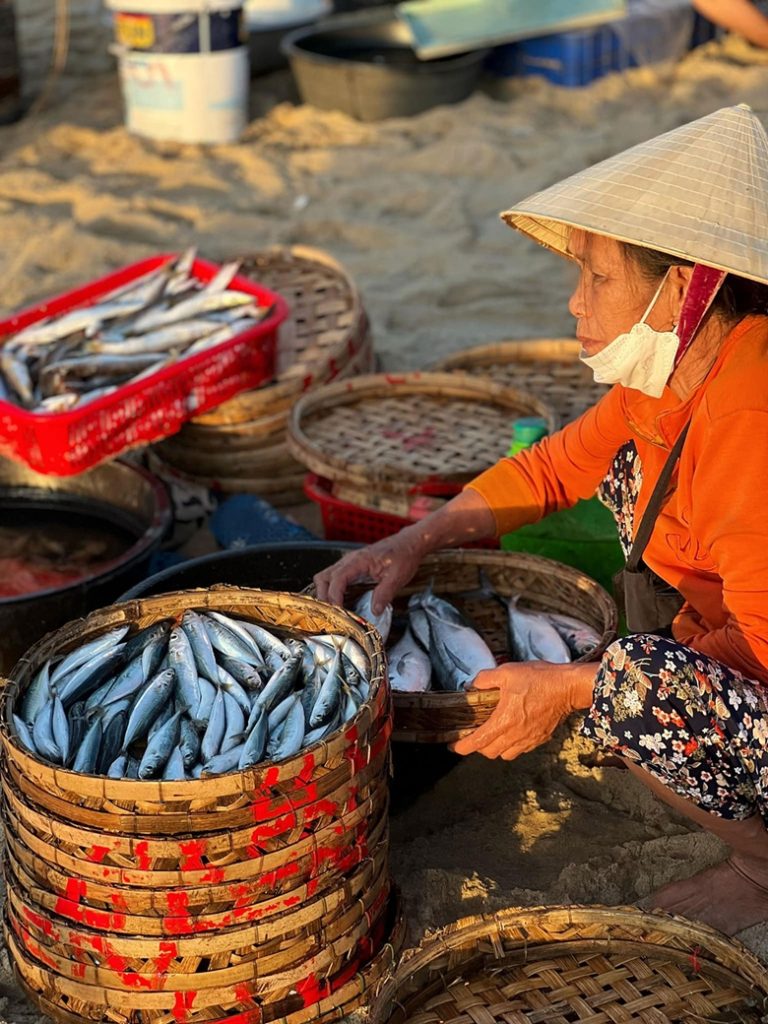 plage de Binh Minh plage de Binh Minh