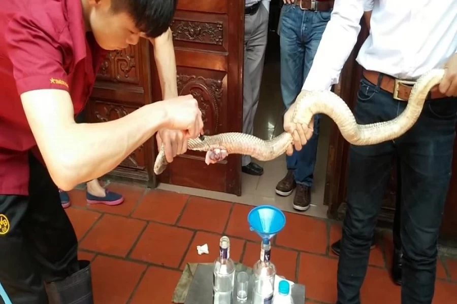 Village des serpents de Le Mat, lieu idéal pour Manger du serpent au Vietnam