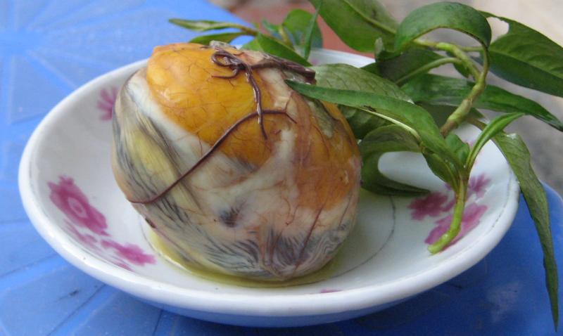 balut vietnamien - Hot Vit Lon - Trung Vit Lon au Vietnam