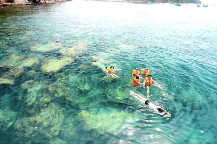 Île de Hon Son : Un paradis pour les amoureux de la nature