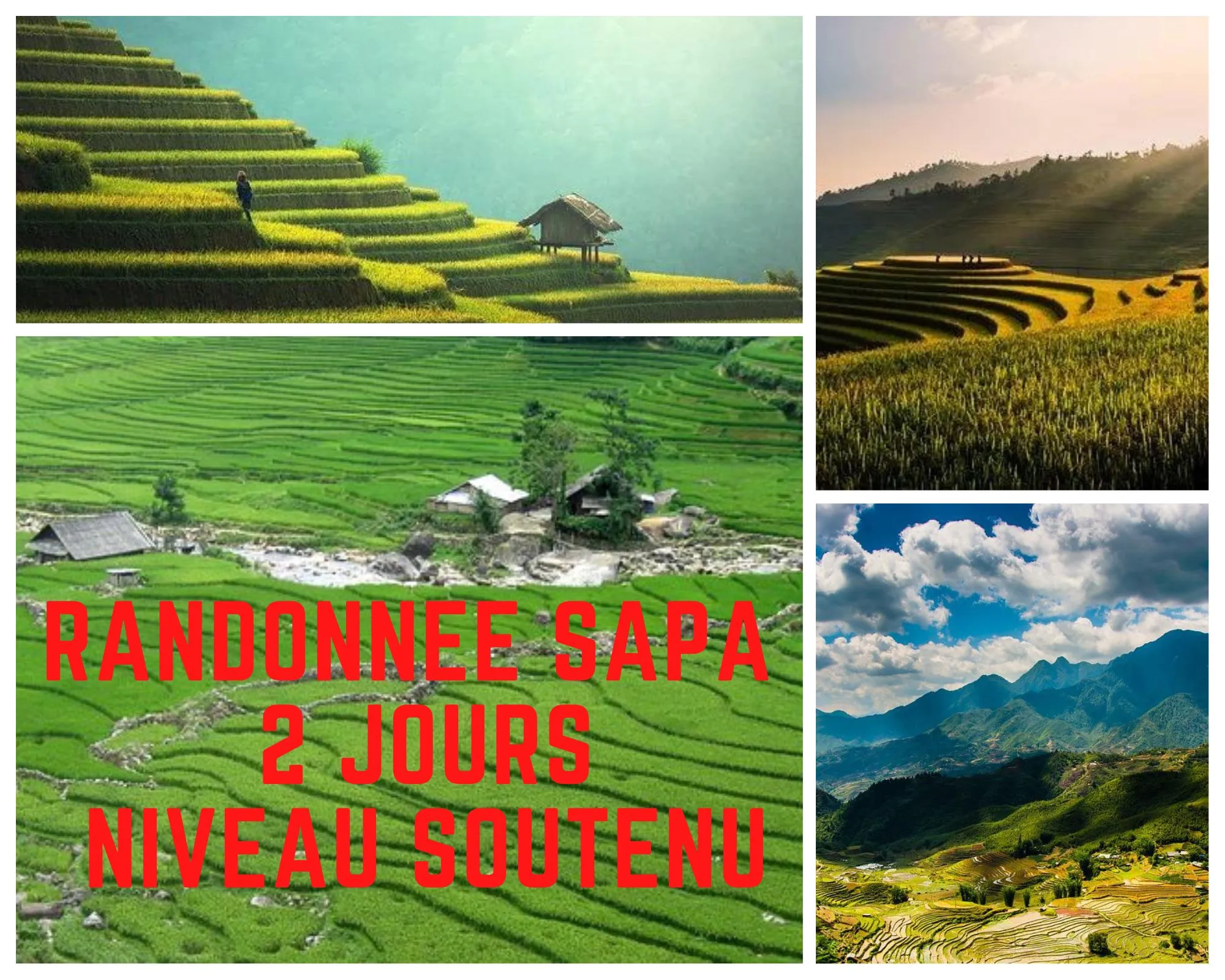 Randonnée Sapa 2 Jours 1 nuit Trek Sportif / Une nuit chez l'habitant ( Sapa – Lao Chai – Y ling Ho – Ta Van )