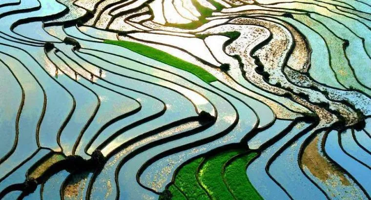 Sapa en avril Sapa en avril