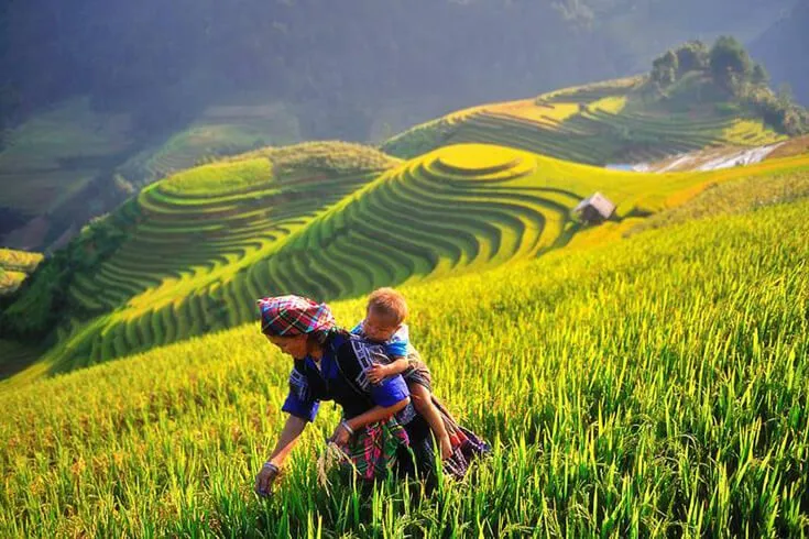 Sapa en septembre Sapa en septembre