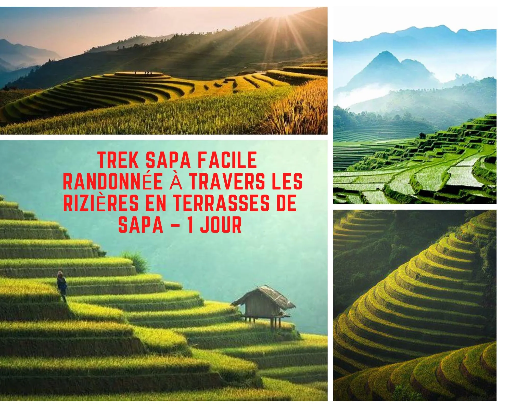 Randonnée à travers les rizières en terrasses de Sapa Vietnam – 1 jour