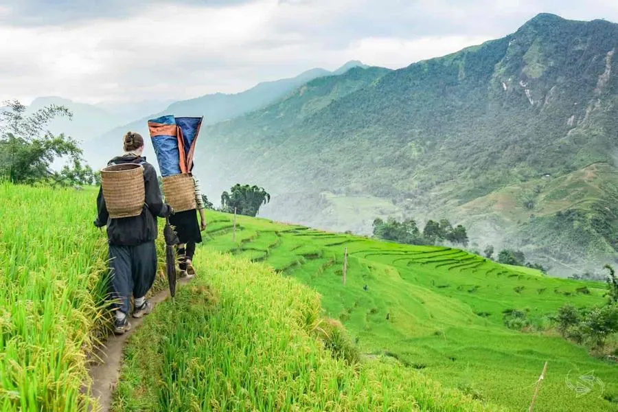 Faut-il faire un trekking à Sapa sans guide ou non ? Combien de temps pour visiter le Vietnam ?