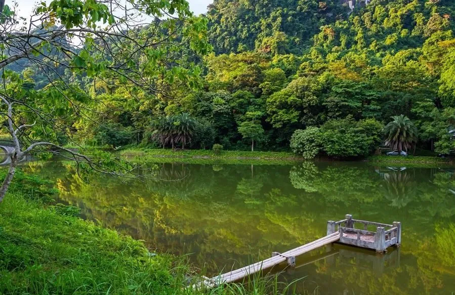 Les meilleurs endroits pour faire du trekking au Vietnam Parc national de Cuc Phuong
