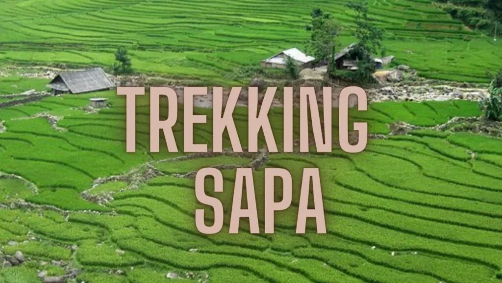 itinéraire Vietnam en 3 semaines Comment se préparer à votre trekking à Sapa ? Quelques astuces utiles