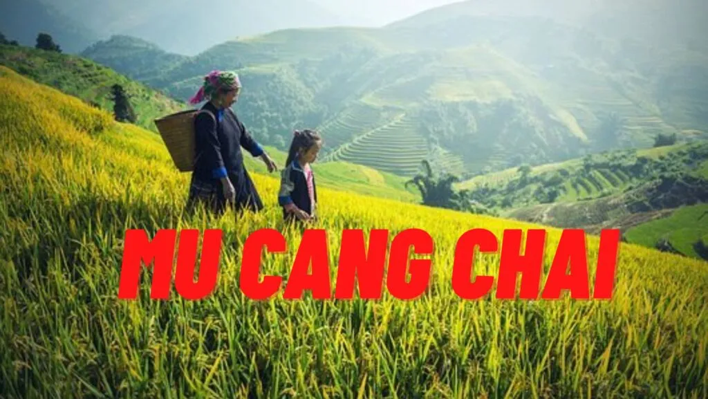 visiter le Vietnam en novembre Mu Cang Chai : choses à faire, quoi manger et où séjourner