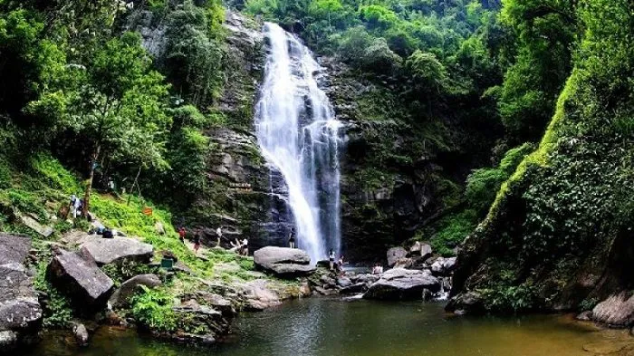 Vietnam en juillet parc national de Pu Mat au Vietnam