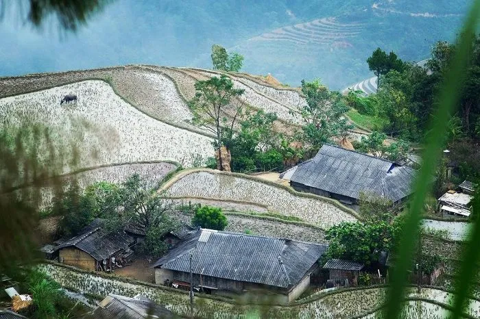 Boucle Ha giang 4 Jours - Circuit privé en moto avec guide francophone à partir de $ 360 Boucle Ha giang 4 Jours - Circuit privé en moto avec guide francophone à partir de $ 360