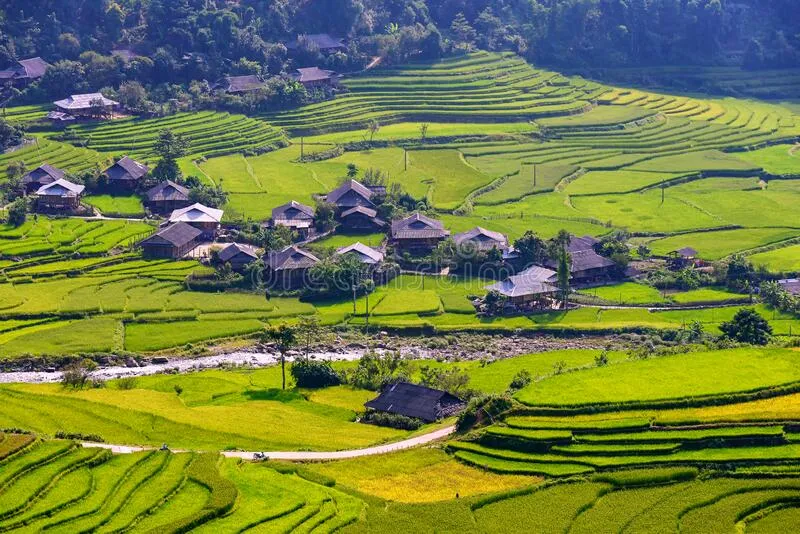visiter le Vietnam en novembre Nghia Lo Vietnam