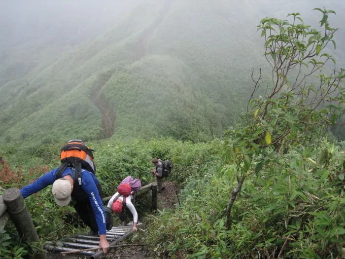 Trekking Fansipan /Ascension du mont Fansipan (3 143 m), le plus haut sommet d'Indochine d'une journée avec guide francophone à partir de 100 USD