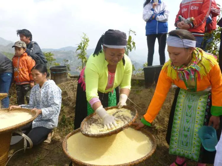 Circuit Boucle de Ha Giang en 3 jours 2 nuits en voiture avec guide francophone à partir de $ 280 ( au départ de Ha Giang ) Circuit Boucle de Ha Giang en 3 jours 2 nuits en voiture avec guide francophone à partir de $ 280 ( au départ de Ha Giang )