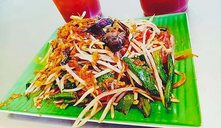 Les différences entre la cuisine vietnamienne du Nord et celle du Sud Gỏi đu đủ