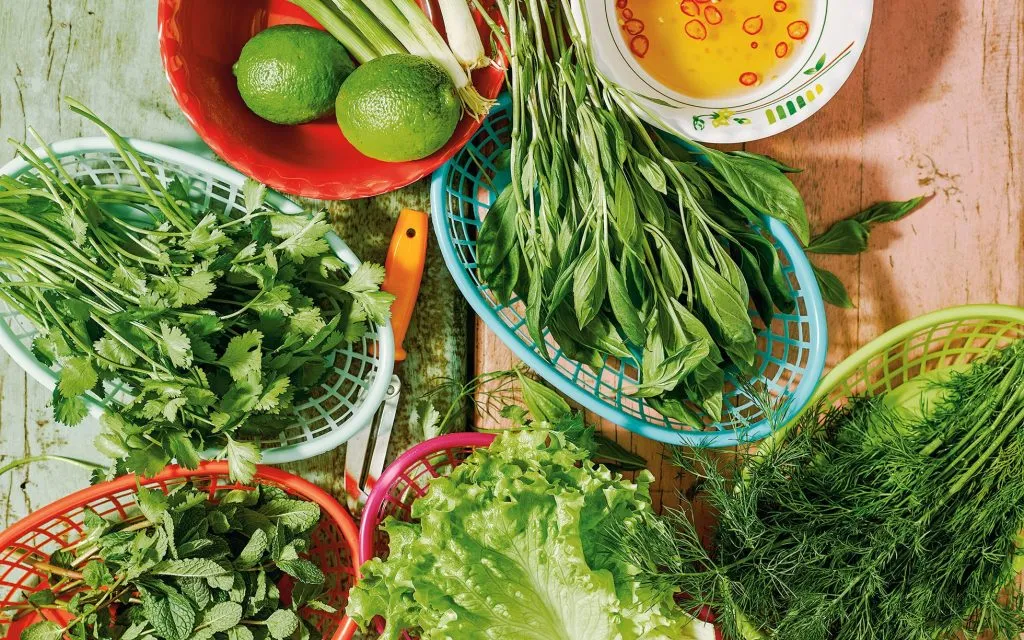 Les différences entre la cuisine vietnamienne du Nord et celle du Sud Cinq ingrédients les plus omniprésents et les plus essentiels dans la cuisine vietnamienne