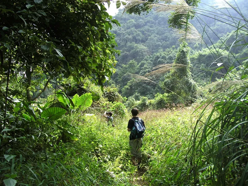 Voyage et volontariat au Vietnam - faire du bénévolat au Vietnam
