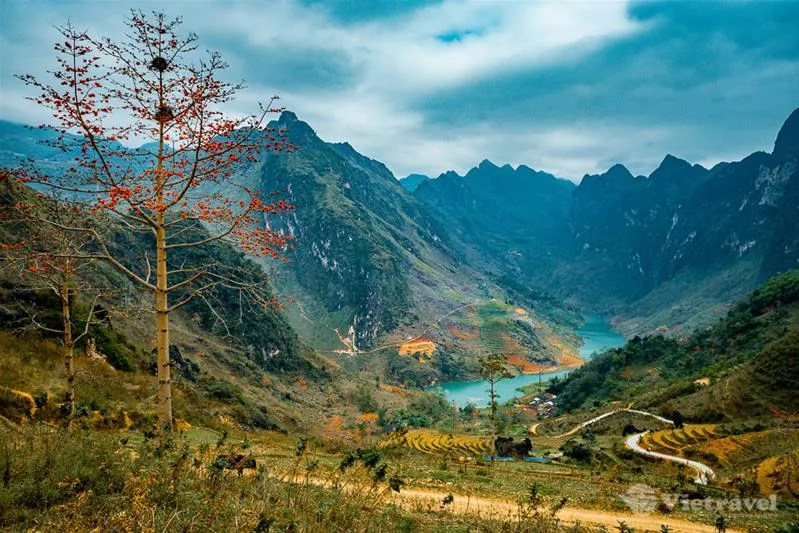 Quel temps fait-il à Ha Giang en février ? météo et conseils de voyage