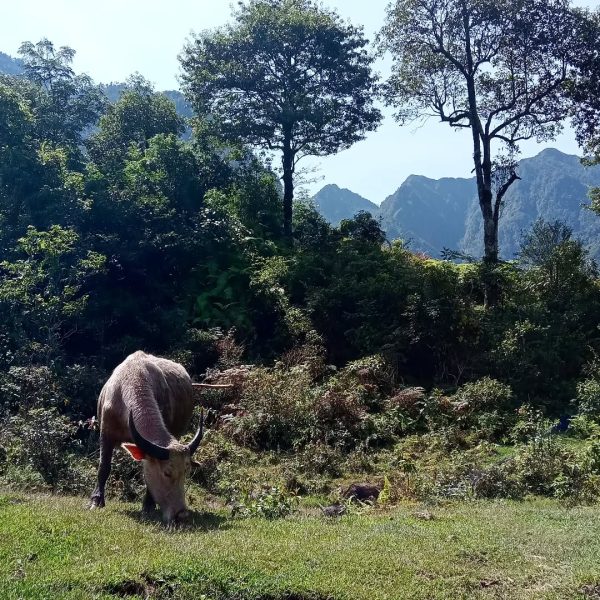 Photo by guide francophone sapa hagiang