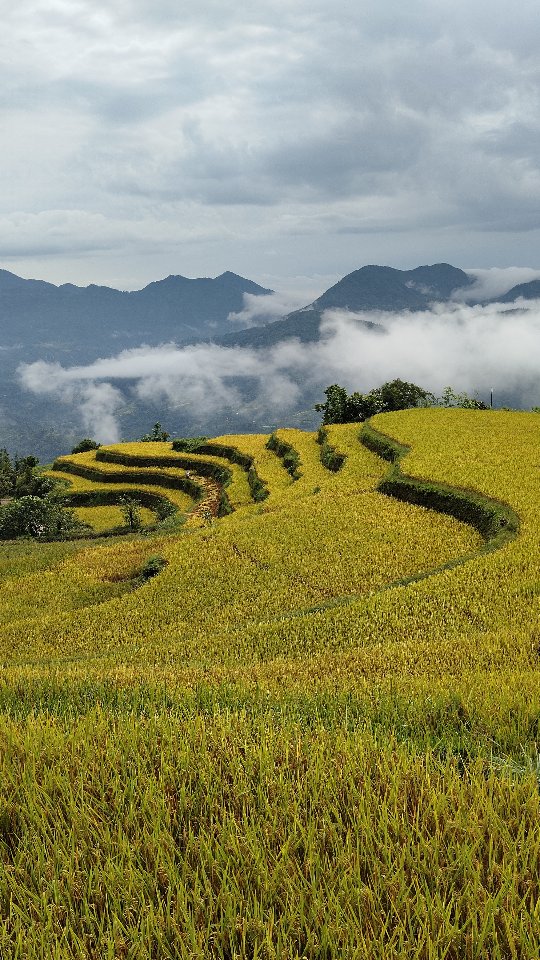 #vietnam #hoangsuphi #guidefrancophone