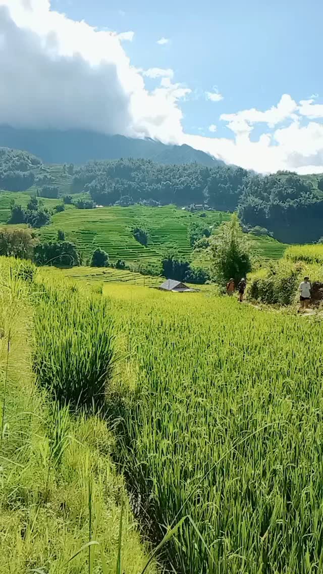 Video by guide francophone sapa hagiang